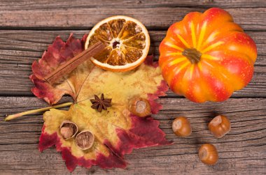 Parlak sonbahar kompozisyon