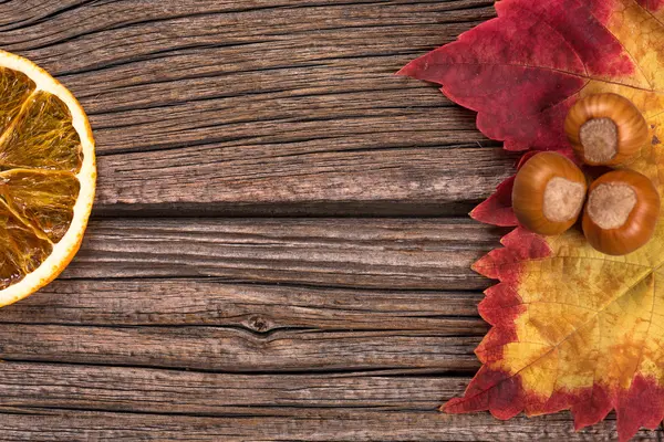 Bright autumn composition — Stock Photo, Image