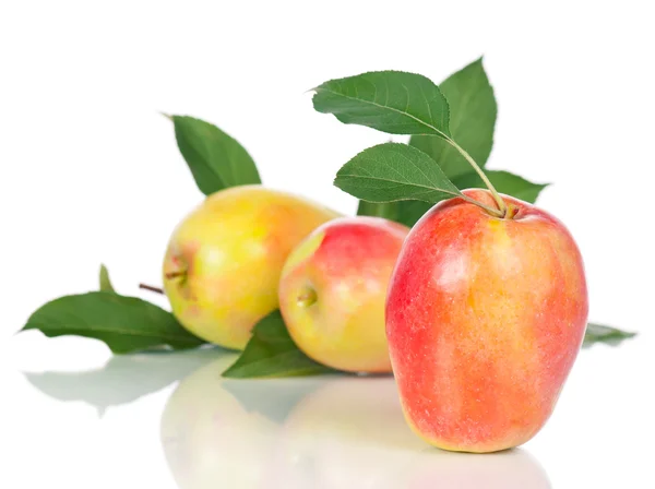 Сочные сочные яблоки — стоковое фото