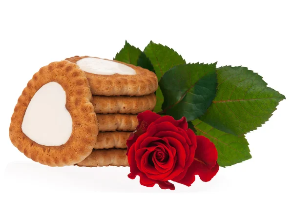 Verse heerlijke koekjes — Stockfoto