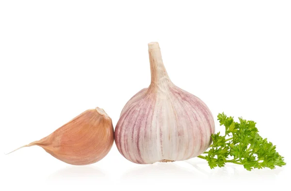 Fresh garlic bulb — Stock Photo, Image