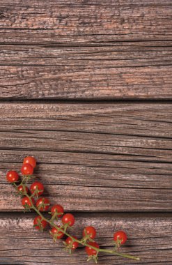 Taze olgun domatesler