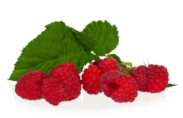 Fresh ripe raspberries — Stock Photo, Image