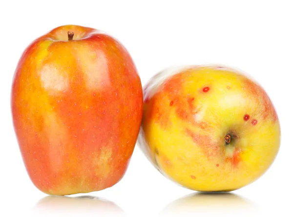 Reife saftige Äpfel — Stockfoto
