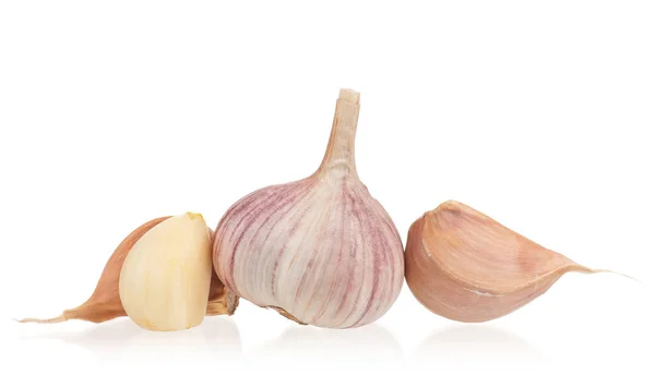 Raw garlic bulb — Stock Photo, Image