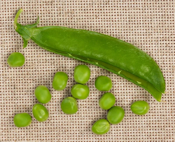 年轻的绿豌豆 — 图库照片