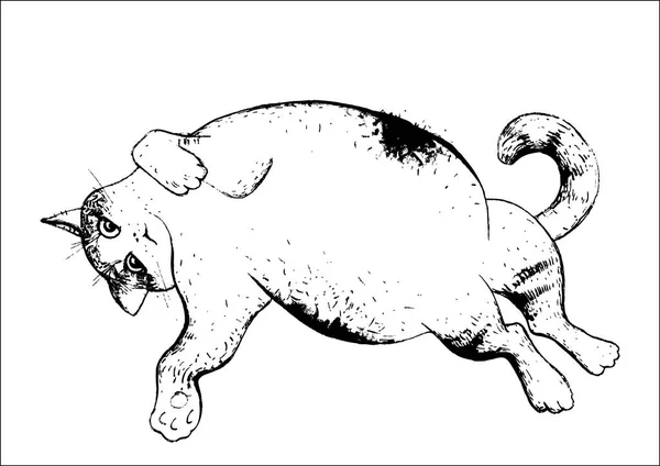 แมวผ่อนคลายภาพวาด — ภาพเวกเตอร์สต็อก