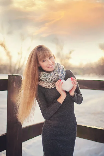 Hermosa Chica Hermoso Parque Nieve Invierno Día —  Fotos de Stock