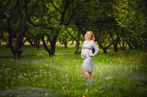 怀孕的快乐女人摸她的肚子 怀孕的中年母亲的肖像 爱抚着她的腹部 微笑着特写 健康怀孕的概念 公园里的黑发孕妇 — 图库照片