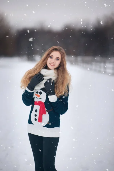 Retrato Una Hermosa Chica Paseo Por Parque Invierno Nevado —  Fotos de Stock