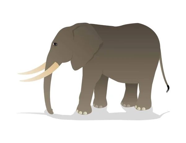 Illustration of elephant — Stock Vector