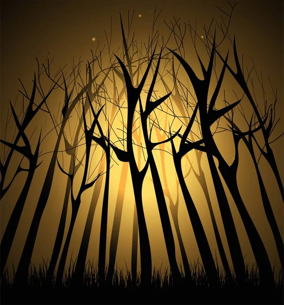 Magica Foresta Oscura Con Luci Tra Rami Degli Alberi Illustrazione — Vettoriale Stock