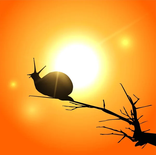 Vector Illustration Silhouette Snail Sunset — Stock Vector