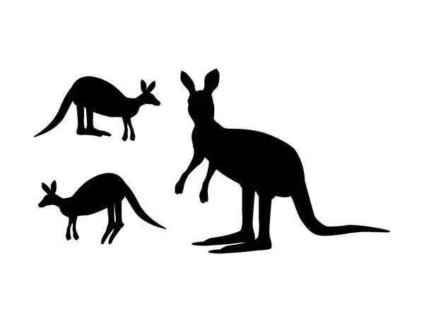 Vektorillustration Känguru Vit Bakgrund — Stock vektor
