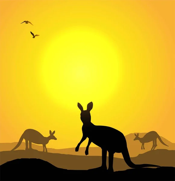Vektorillustration Kangaroo Vid Solnedgången — Stock vektor