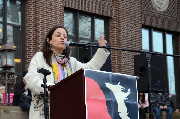 Marzo de las mujeres Ann Arbor 2017 — Foto de Stock