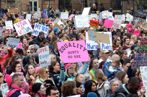 Marche des femmes Ann Arbor 2017 — Photo