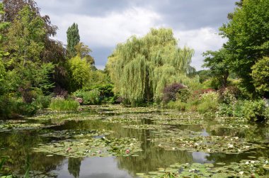 Monet Bahçe, darbeydi, Fransa