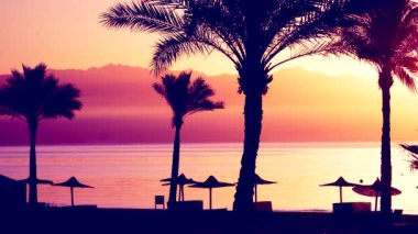 Şafak vakti Palm Beach