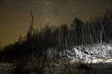Taiga çölünde yıldızlı gökyüzü