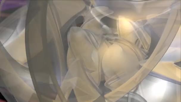 animation mouvement graphique bio 