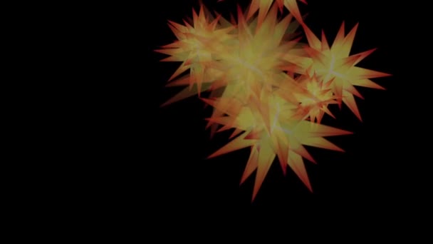 Luces de la estrella sternenregen poinsettia — Vídeo de stock