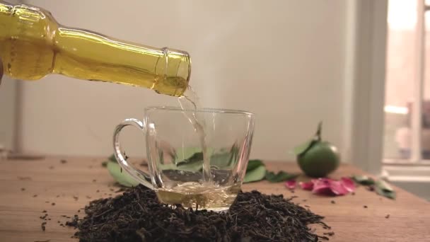Green tea leafs beverage hot — Stock Video