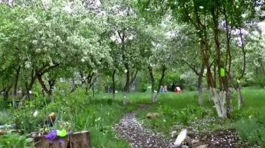 elma ağacı çiçek bahar olabilir