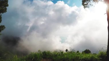 Hills ağaç dağ doğa dağ