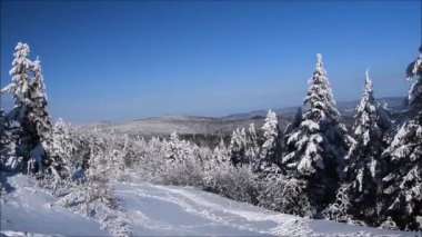 kayaklar Avrupa Polonya Slovakya