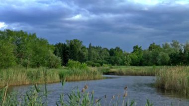 Yaz Rüzgar doğa manzara