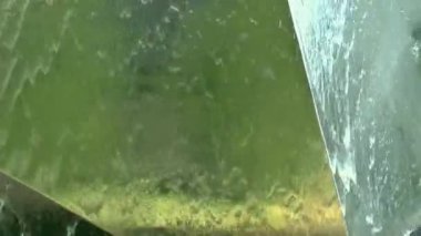 su akışı sprey yaz hızlı