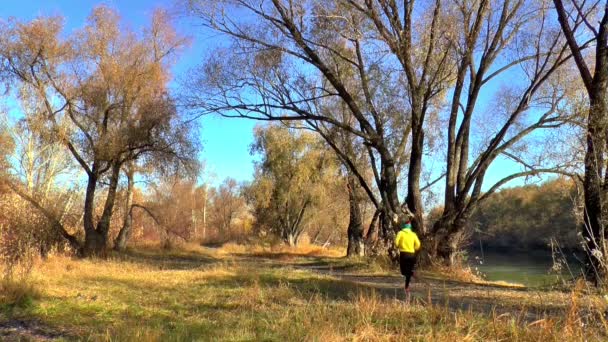 Otoño naturaleza deportes — Vídeos de Stock