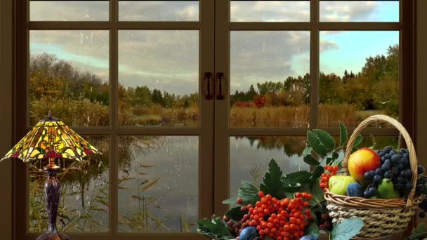 Autumn siberia nature rain window — Stock Footage Autumn siberia nature rain window Stock Video