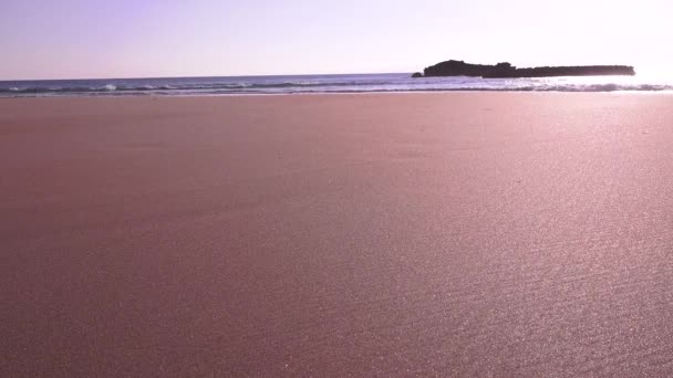 Пляж на берегу океана — стоковое видео