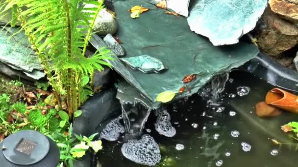 Arroyo primavera verano naturaleza piedras — Vídeo de stock