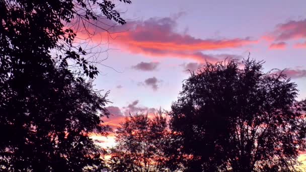 Вечерние осенние облака — стоковое видео