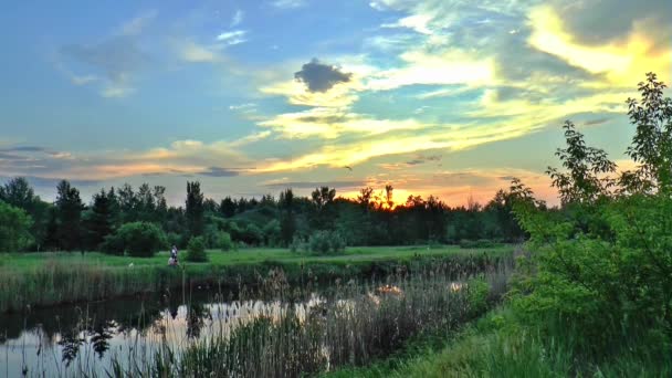 Abend Sommer Dämmerung Sonnenuntergang Sonne — Stockvideo