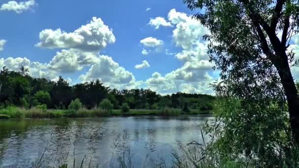 Lago nuvens natureza verão céu — Vídeo de Stock