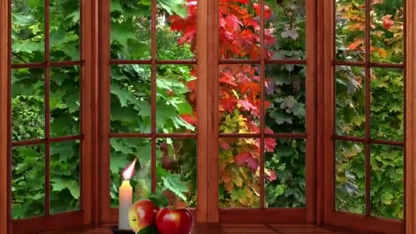 Кленовое окно золотая осень — стоковое видео