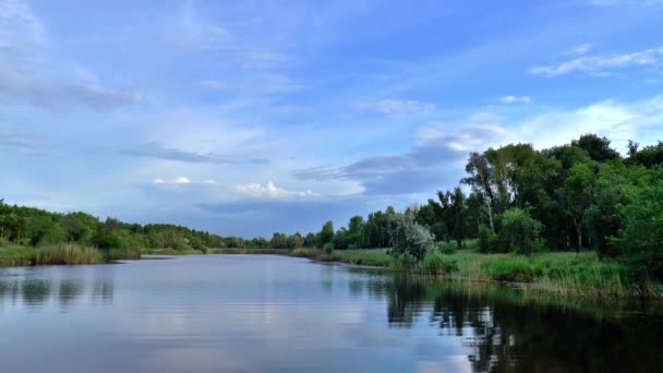 Příroda v létě Sibiř jezero řeka — Stock video