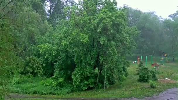 Regen stortbui onweer — Stockvideo