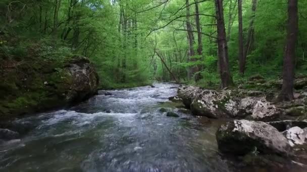 Río paisaje flujo piedra naturaleza — Vídeo de stock
