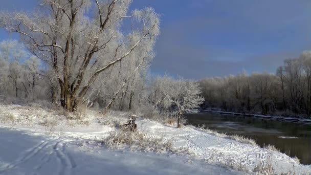 Siberia invierno leann nieve frío — Vídeo de stock
