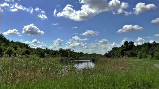 Nyári természet tó felhők ég — Stock videók