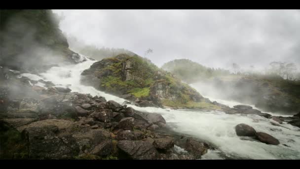 Cachoeira nevoeiro floresta mística — Vídeo de Stock