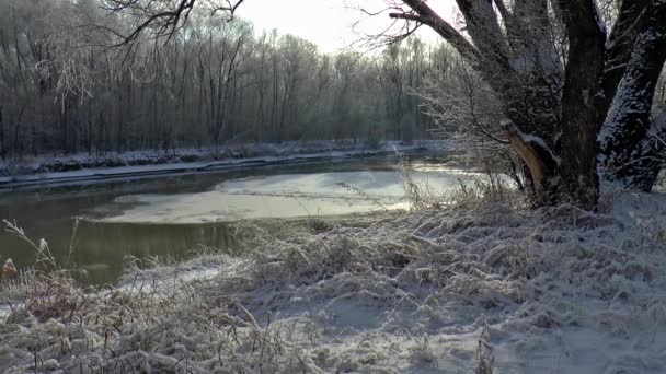 Hiver rivière sibérie glace floes — Video