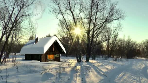 Inverno a cabana na natureza de floresta — Vídeo de Stock