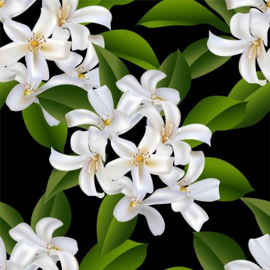  Sampaguita Jasmine buketi kusursuz desenli vektör çizimi