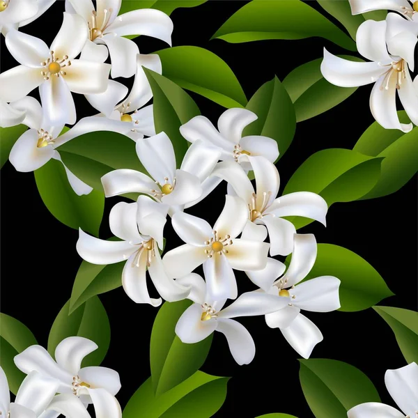 Ilustrasi Vektor Pola Mulus Buket Sampaguita Jasmine - Stok Vektor